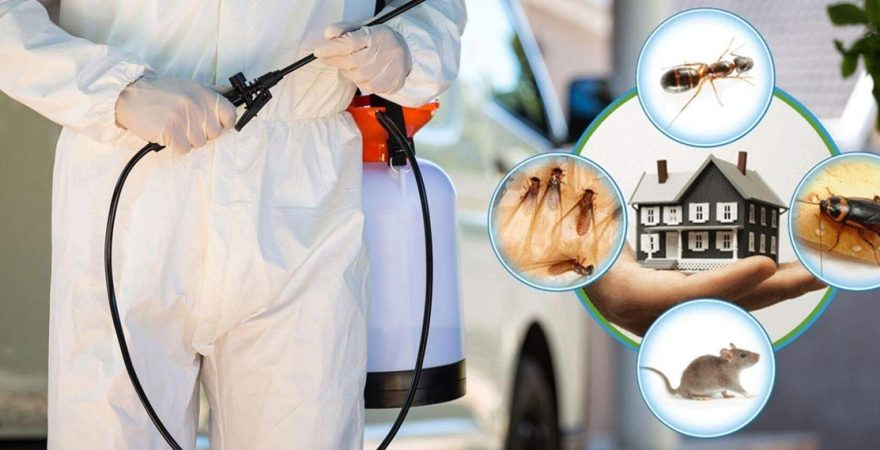 Selendi Böcek İlaçlama