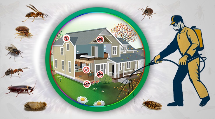 Selendi Böcek İlaçlama