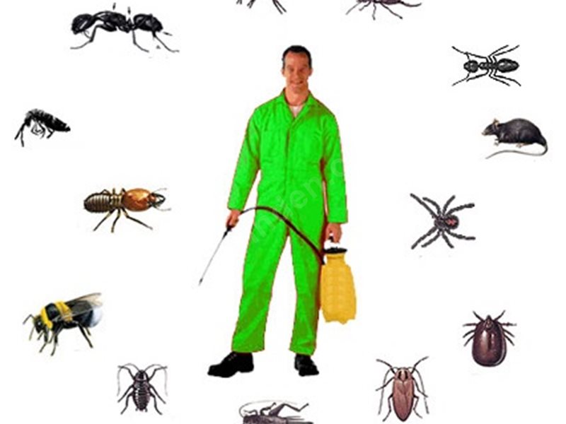 Selendi Böcek İlaçlama